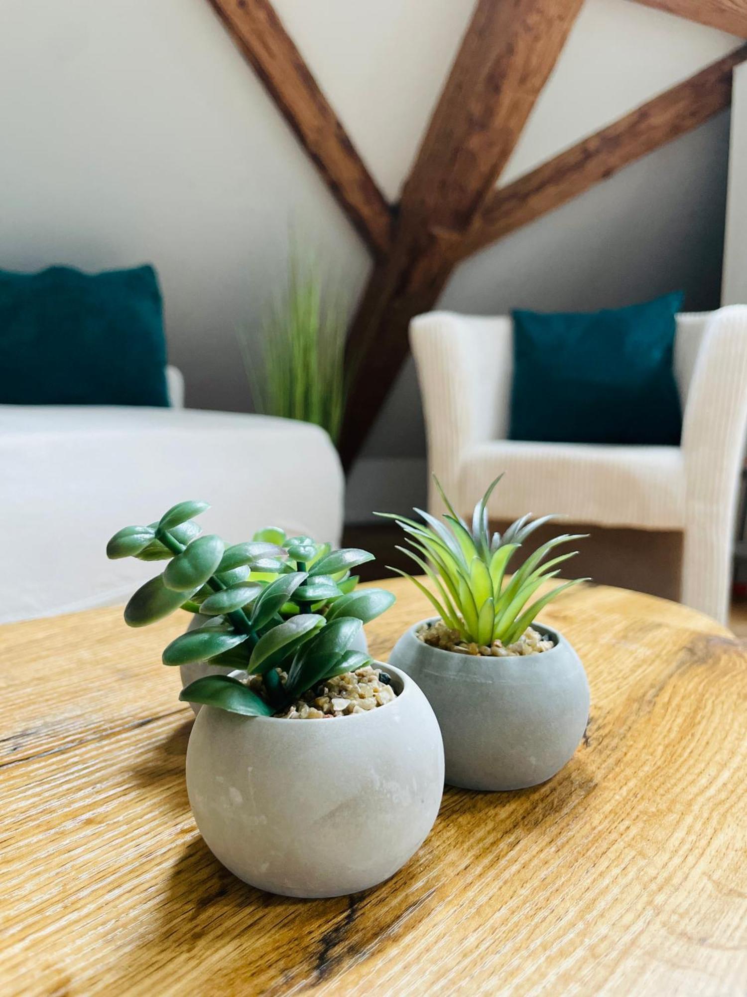Appartement Villa Seeliebe Tägerwilen 외부 사진