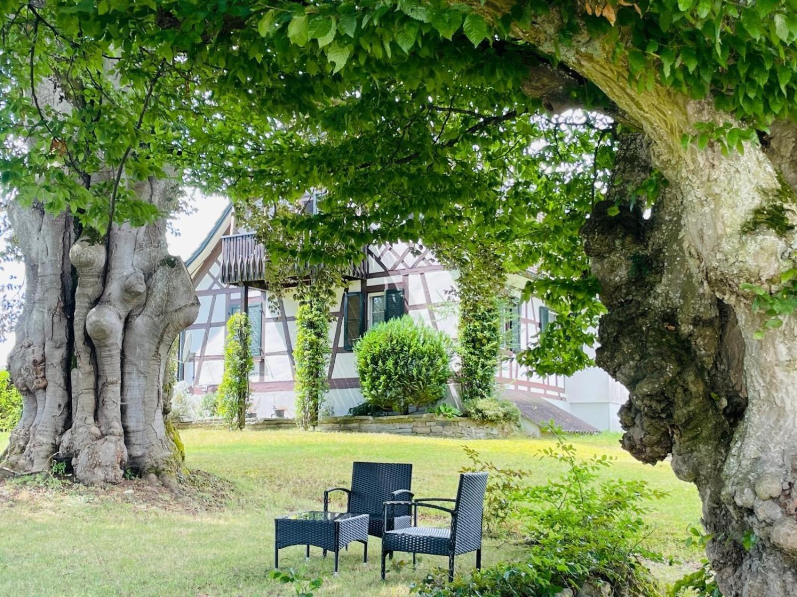 Appartement Villa Seeliebe Tägerwilen 외부 사진